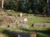 Alsace2008_10