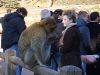 Alsace2008_11