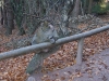 Alsace2008_16